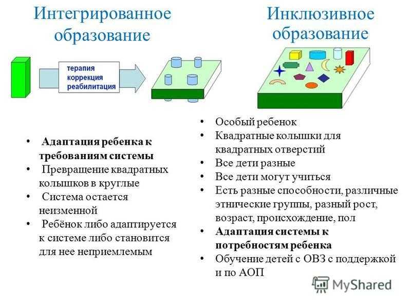 Интегрированное обучение: что это, технологии, принципы, модели и формы