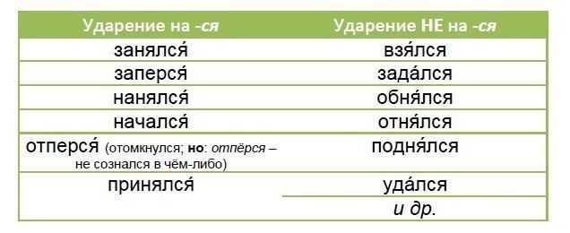 Ударение в слове "занята": как верно поставить, примеры употребления