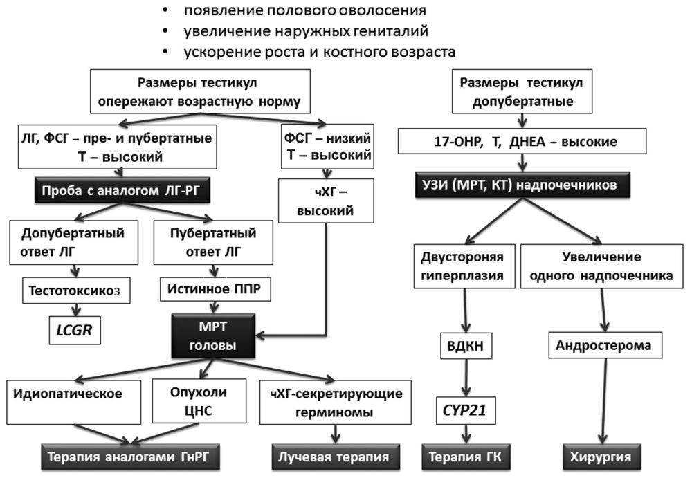 Волосы на животе у девушки подростка как избавиться?