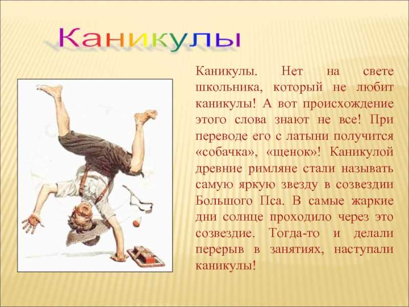 Когда у школьников появились каникулы и при чем тут собака