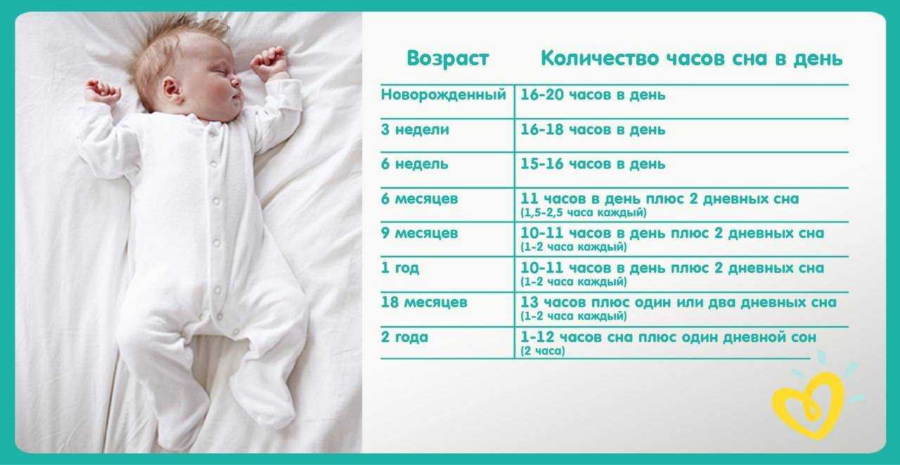 Сколько должен спать новорожденный ребенок в сутки: груднички с первых дней жизни до месяца, сколько часов спят дети в 1 неделю?