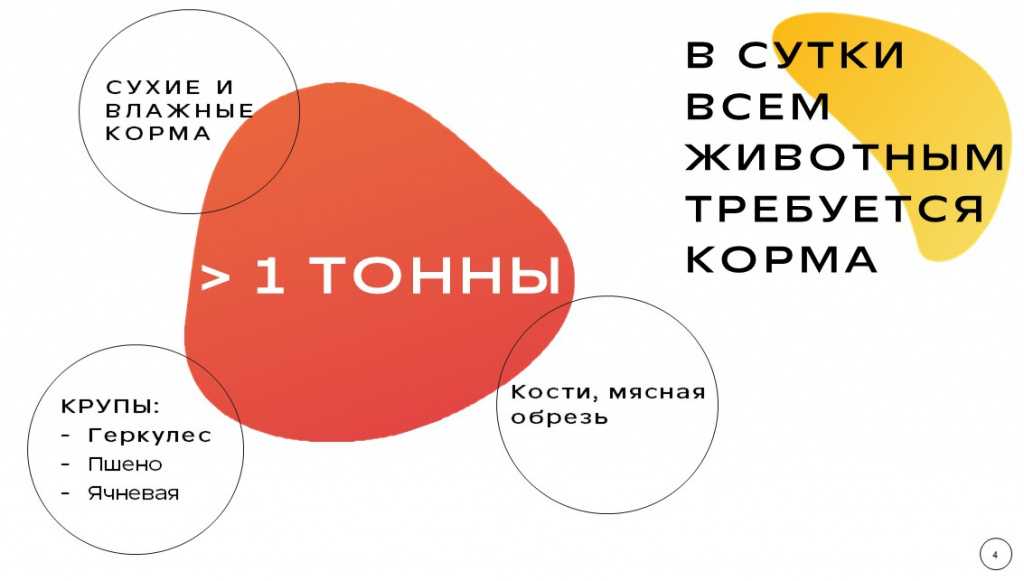 Общий род