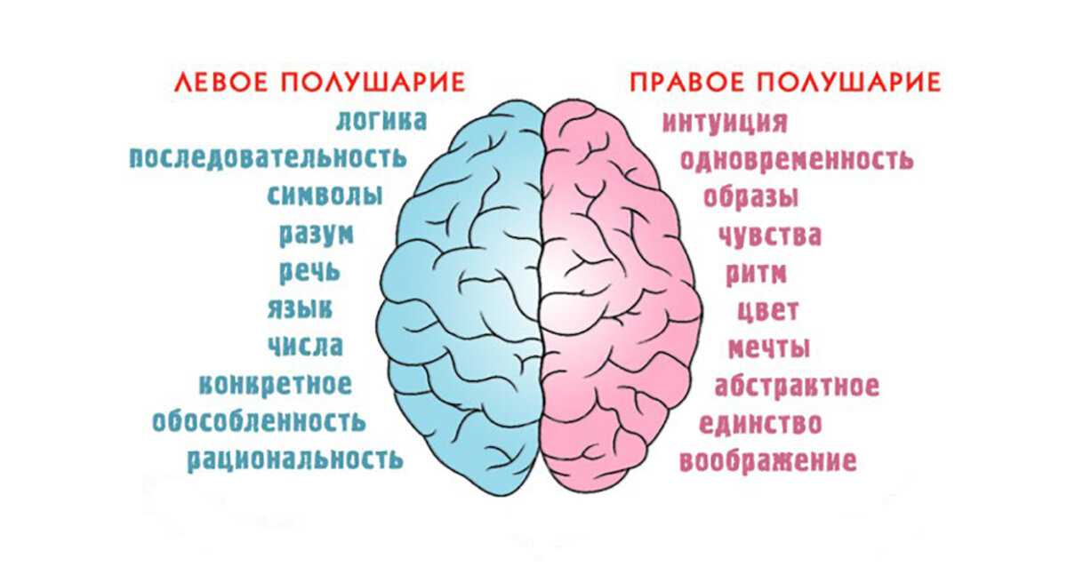 Развивая у детей правое полушарие мозга со временем родители приходят к тому что ещё большего эффекта даёт развитие эпифиза или шишковидной железы