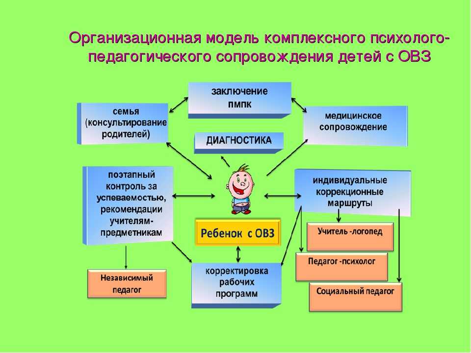 Педагогические основы реабилитации семьи, воспитывающей ребенка с ограниченными возможностями здоровья | коррекционная работа в доу  | современный урок