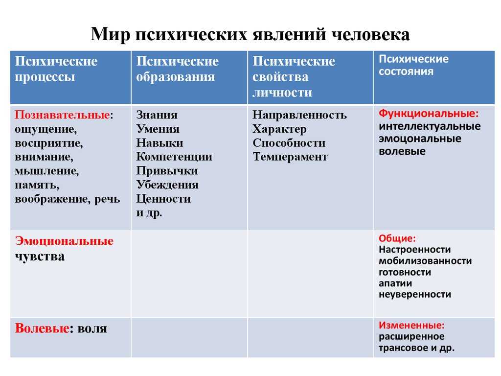 40. речь. функции речи. общая психология