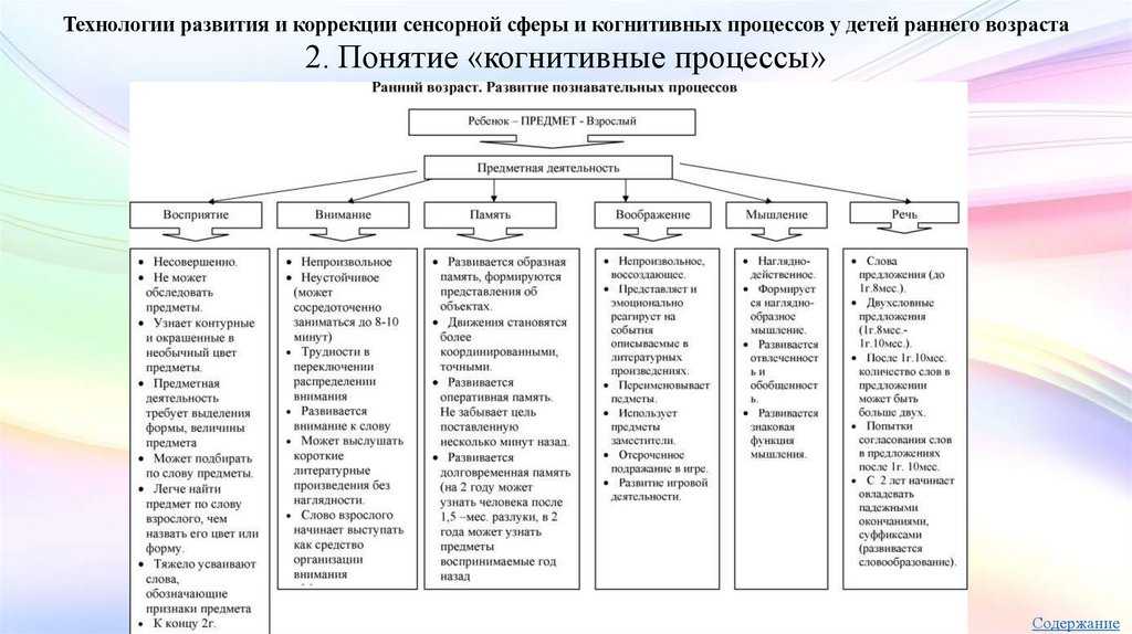 Познавательные процессы: классификация, структура и функции, какие бывают виды познавательных психических процессов.