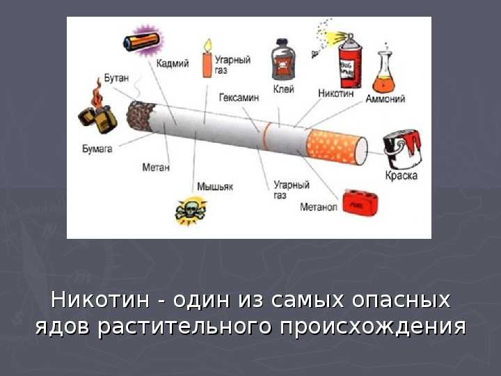 Откуда берутся вредные привычки и как с ними бороться