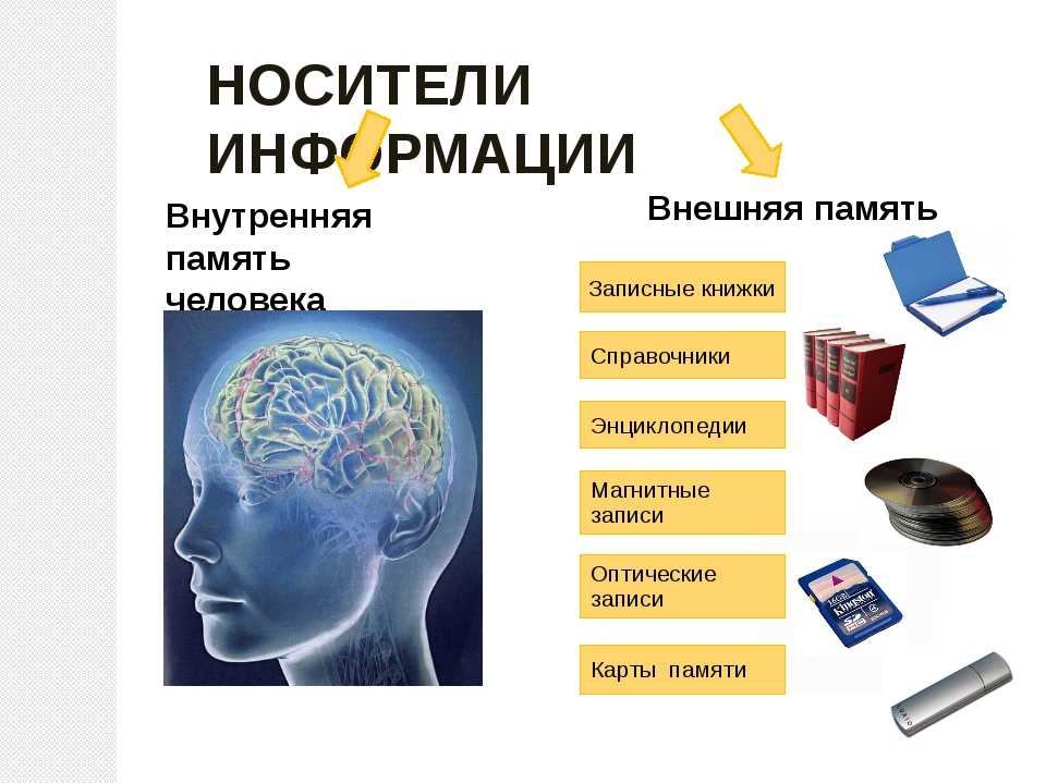 Эйдетическая память: что это такое и как ее развить
