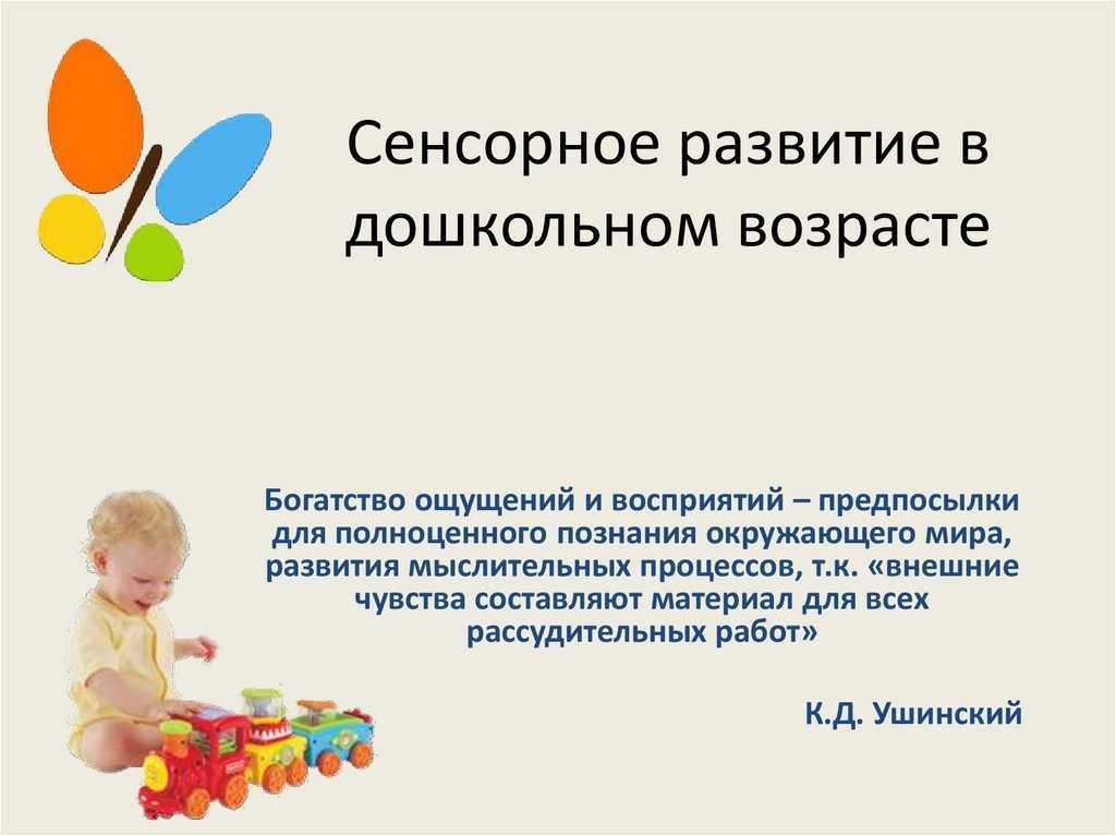 Что такое сенсорное развитие детей и какие игры использовать для развития сенсорики