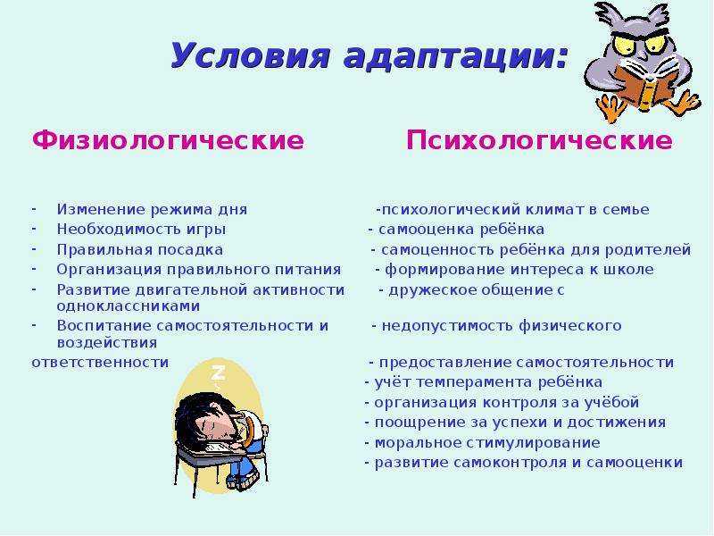 1.1 особенности процесса становления и развития личности первоклассника. педагогическое просвещение родителей первоклассников - дипломная работа
