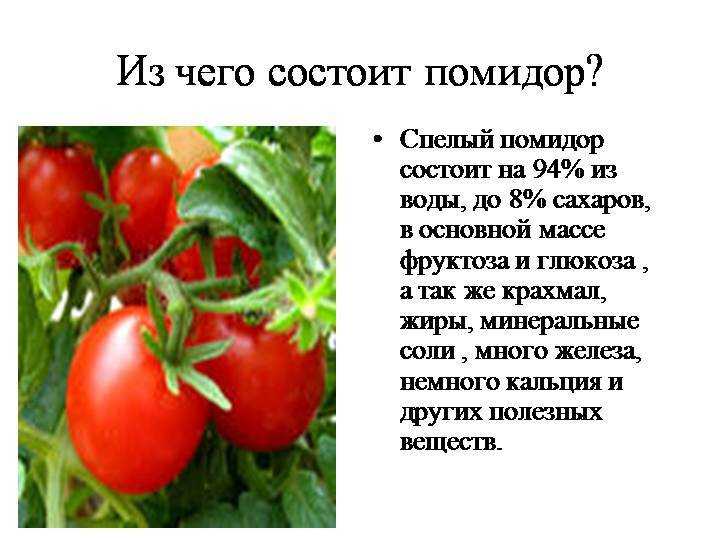 Как правильно, томат или помидор?
