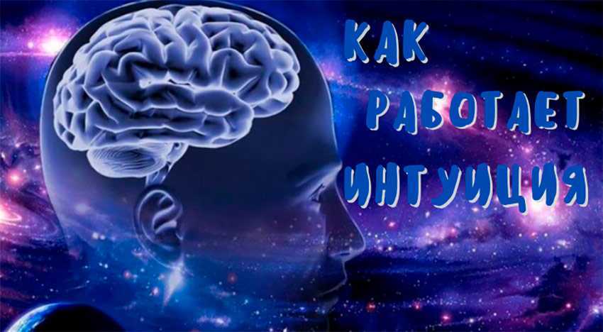 Логика и интуиция: в чем различие и как развить?