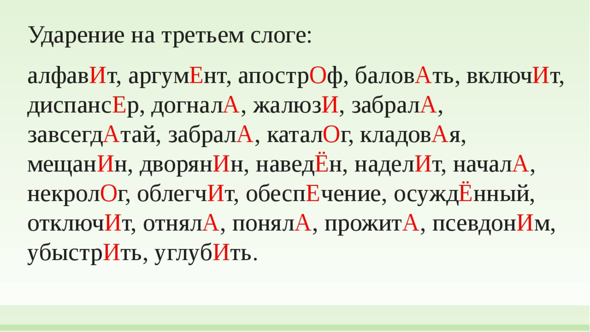 Как за десять лет изменились правила русского языка: от кофе в среднем роде до карате