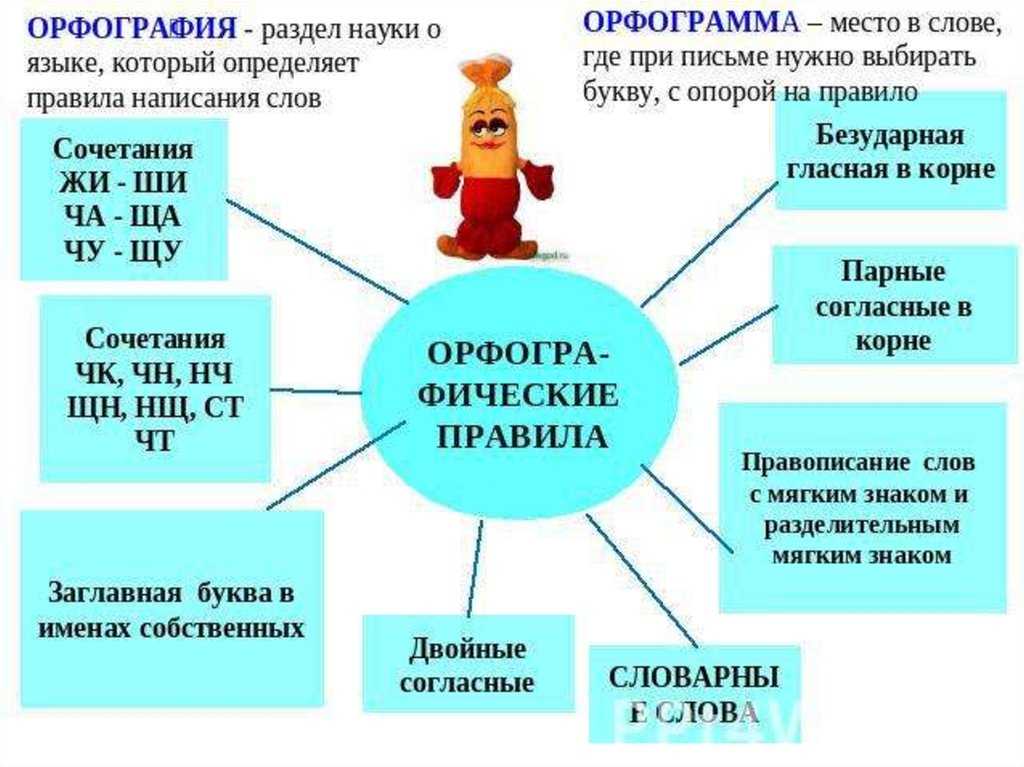 Что такое орфография и как самостоятельно за короткий срок выучить все правила орфографии