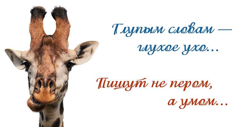 Лепет детский, появляется у ребенка в первые месяцы жизни