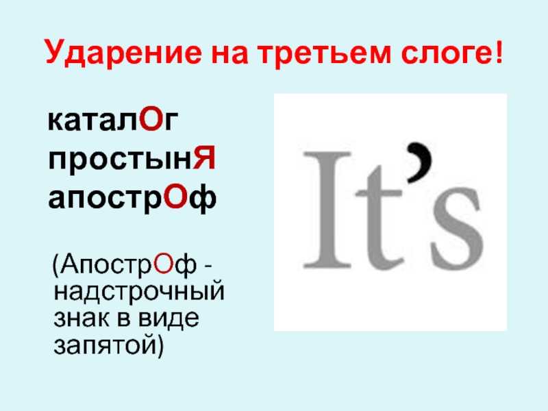 Русский язык __ егэ __ 100 баллов                               блог для моих учеников : по всем правилам орфоэпического искусства