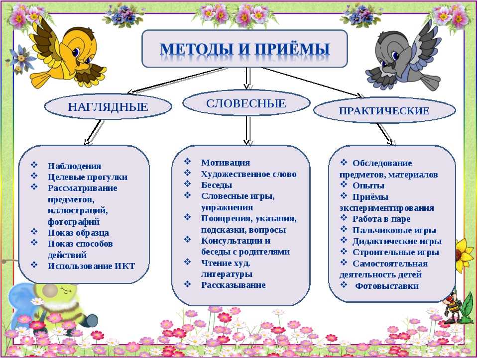 Педагогическая деятельность: виды и направления