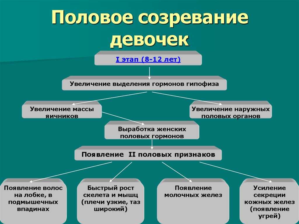 Как у девочек начинает расти грудка. как проходит половое созревание у девочек