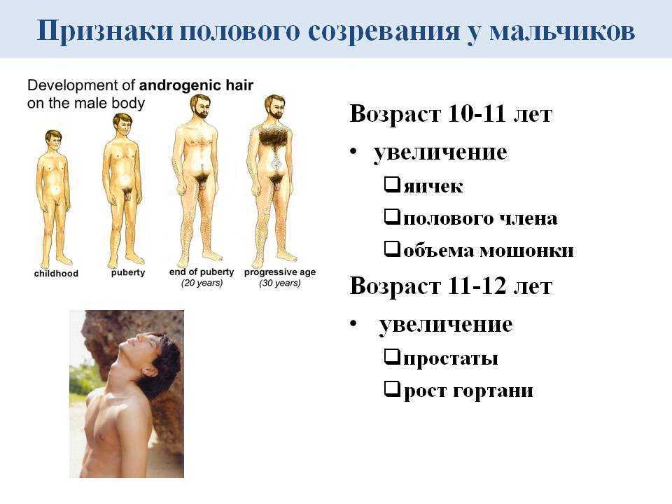 Превращение девочки в девушку: половое развитие девочки — пишет врач-гинеколог