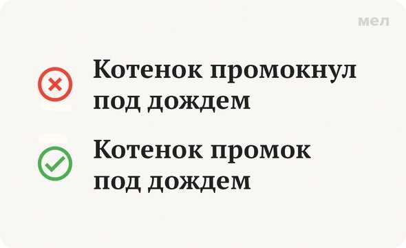 Кошка убежала из дома, как найти, что делать