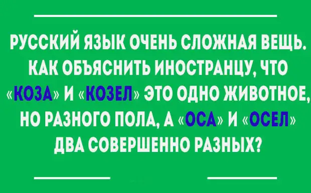 Правописание вводного слова «наверно[е]»
