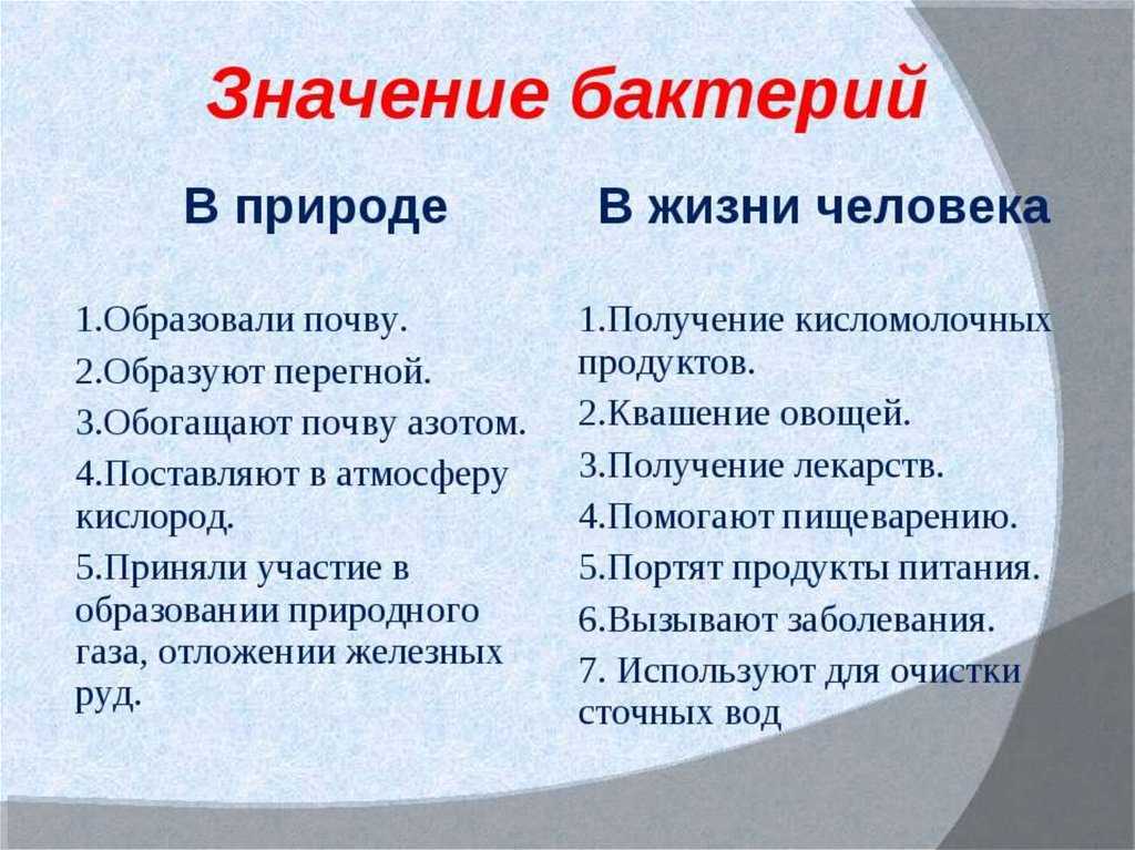 Крохобор: что это значит, история происхождения термина
