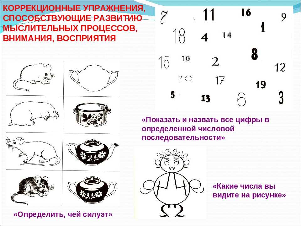 Последовательное развитие мышления у дошкольников