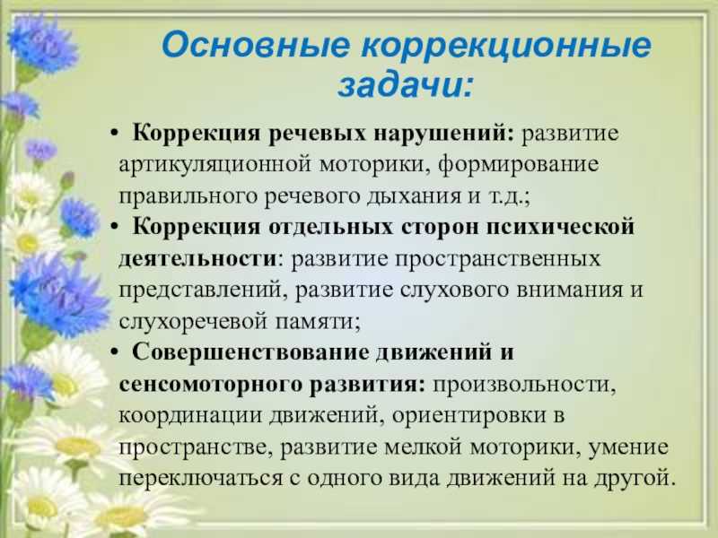 Методика обучения детей с тяжёлыми нарушениями речи