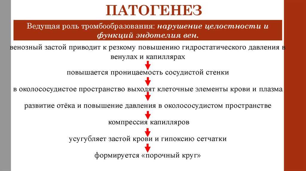 Исторический аспект изучения заикания