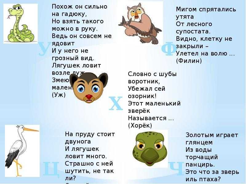 Загадки про диких и домашних животных с ответами для 1-4 класса