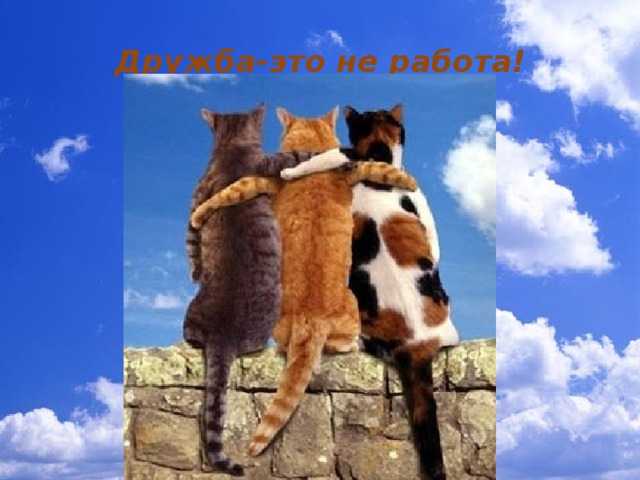Короткие стихи про дружбу и друзей
