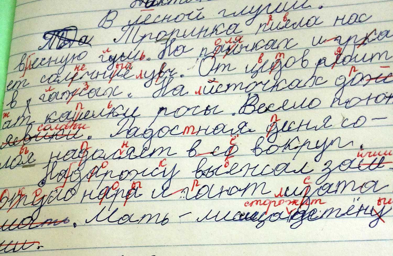 Дисграфия у младших школьников: что это, причины дисграфии и методы ее профилактики, коррекция