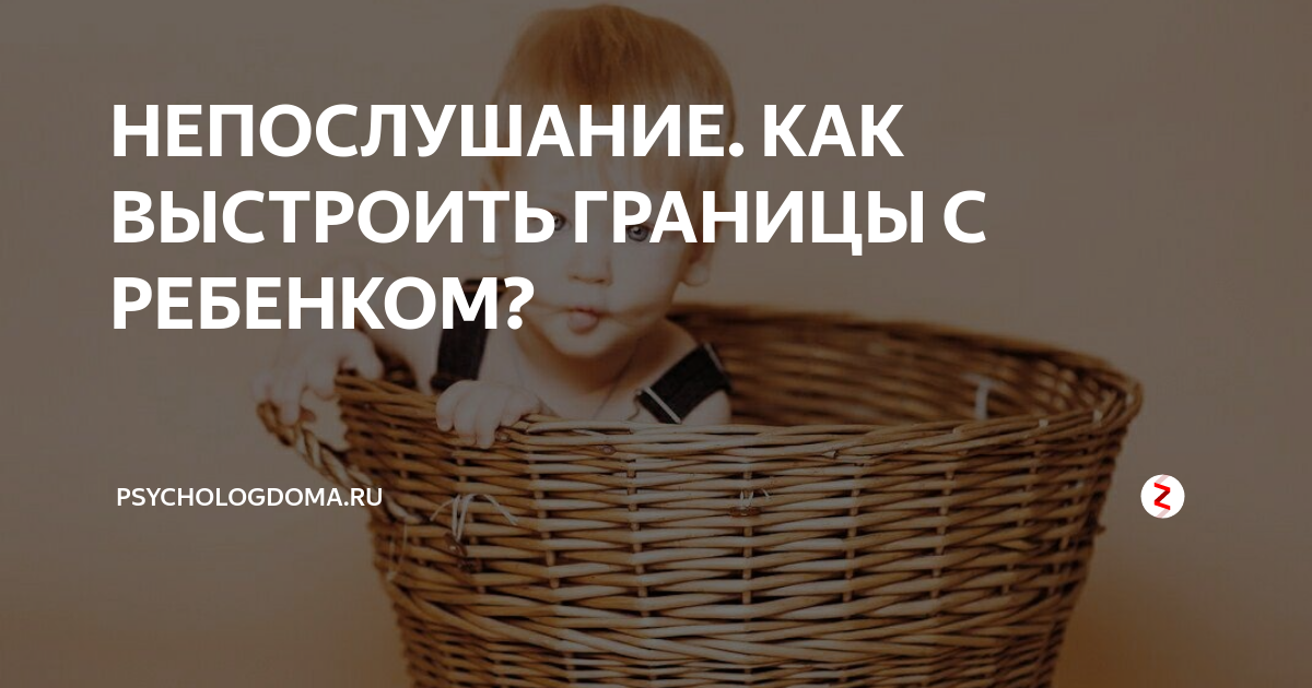 Family tree - жизнь с подростком: как устанавливать границы и не вестись на провокации