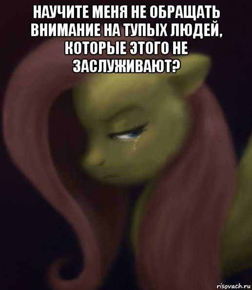 Как правильно не обращай внимание или не обращай внимания