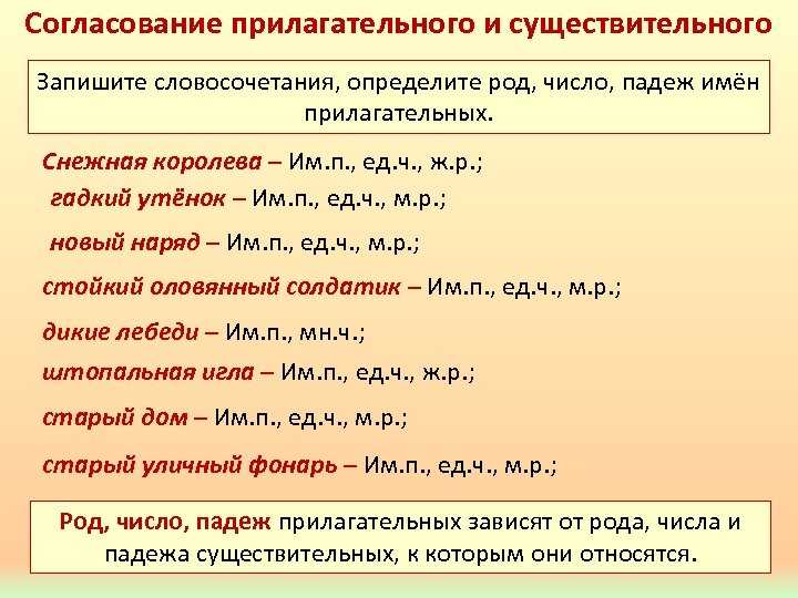 Пять туфель или пять туфлей: как правильно говорить?