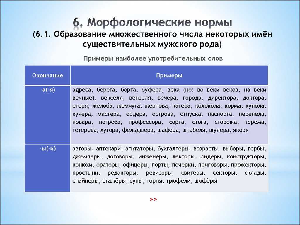 Родительный падеж множественного числа существительных
