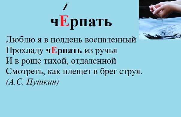Продолжаем черпать знания о русском языке из неисчерпаемой рубрики Грамотность на Меле Прочитайте это предложение вслух, расставьте в нем ударения, а потом проверьте, не ошиблись ли вы