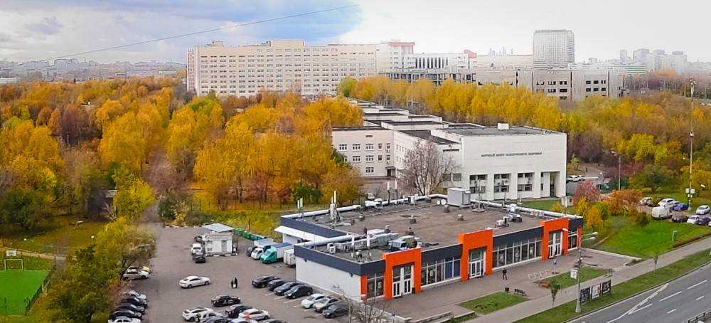 Особенности формирования познавательной активности у детей дошкольного возраста с задержкой психического развития. формирование познавательной активности у детей с задержкой психического развития на занятиях по ознакомлению с окружающим - курсовая работа