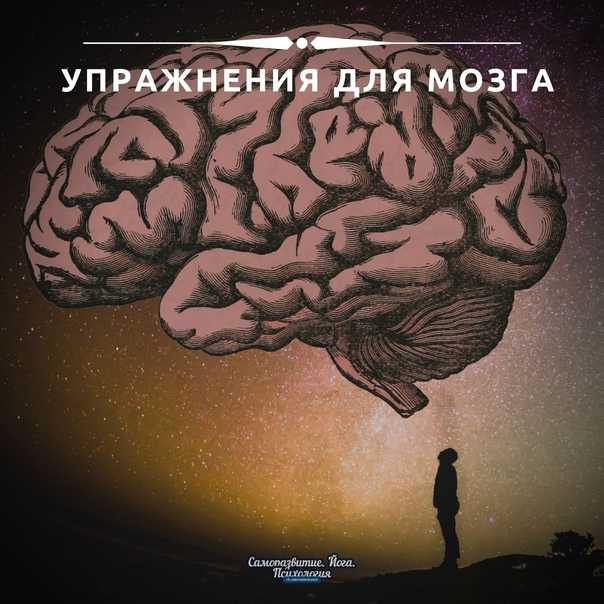 Кинезиологические упражнения для детей: улучшение памяти и внимания