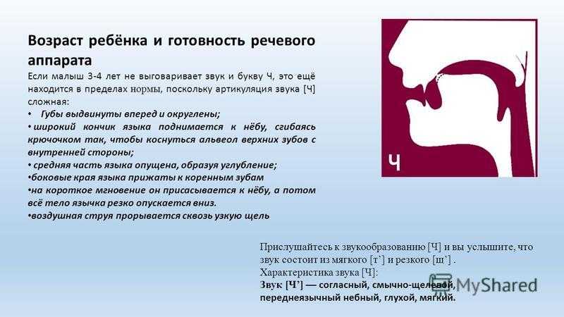 Как научить ребенка говорить букву р