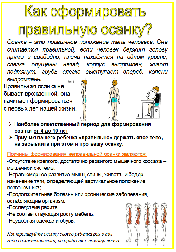 Самые эффективные упражнения для осанки для детей