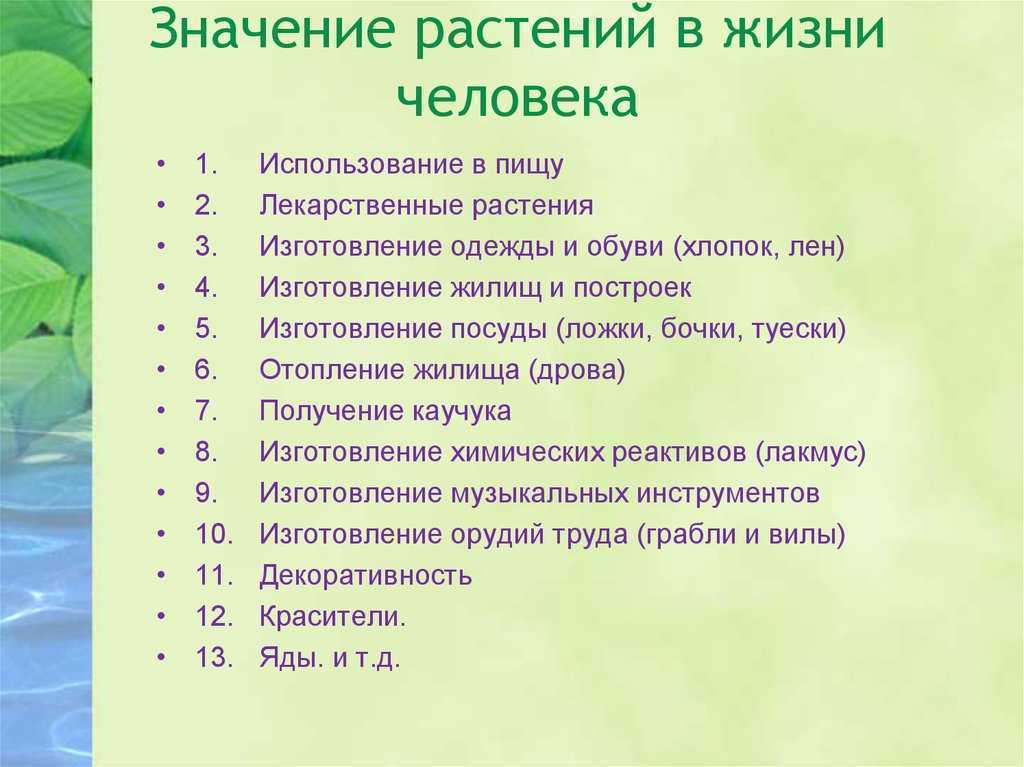 Загадка-шутка. какое слово из 11 букв все пишут неправильно? - wiki-otvet.ru