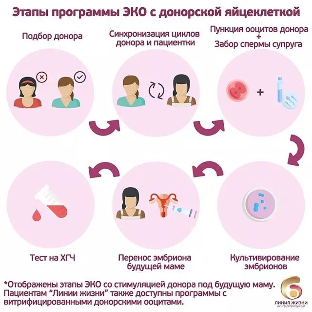Оплодотворение донорской спермой: как найти и выбрать донора для инсеминации или эко, сколько это стоит