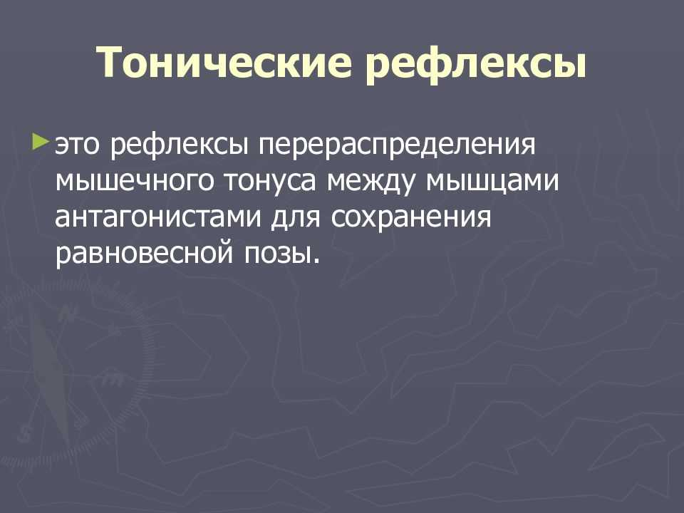Основы теории рефлекторной деятельности