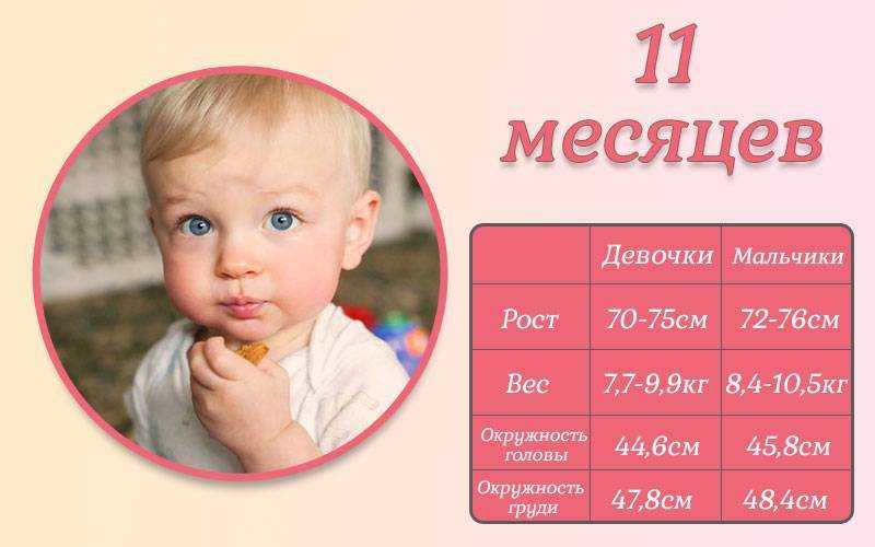 Развитие ребенка на 11 месяце жизни: что должен уметь
