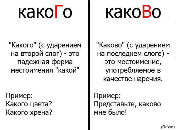 Довольно популярная ошибка, которую допускают даже те, у кого, казалось бы, с русским языком проблем нет Рассказываем, как отличить наречие каково от падежной формы прилагательного какой