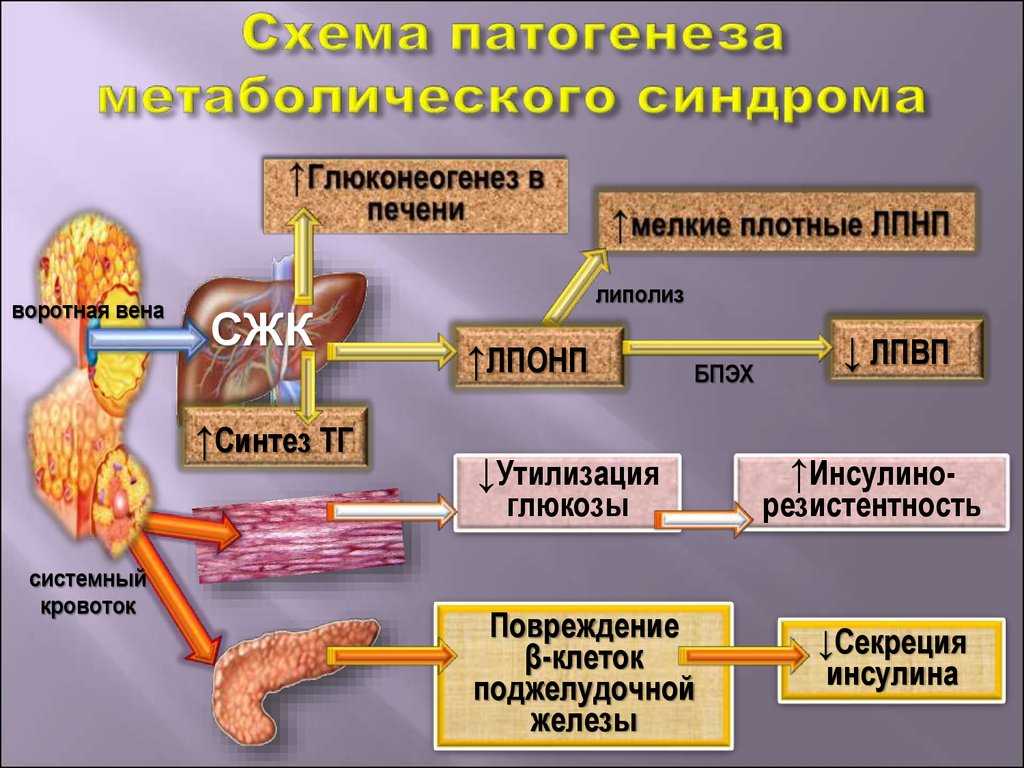 Советы учителям по работе с детьми с синдромом дефицита внимания и гиперактивности