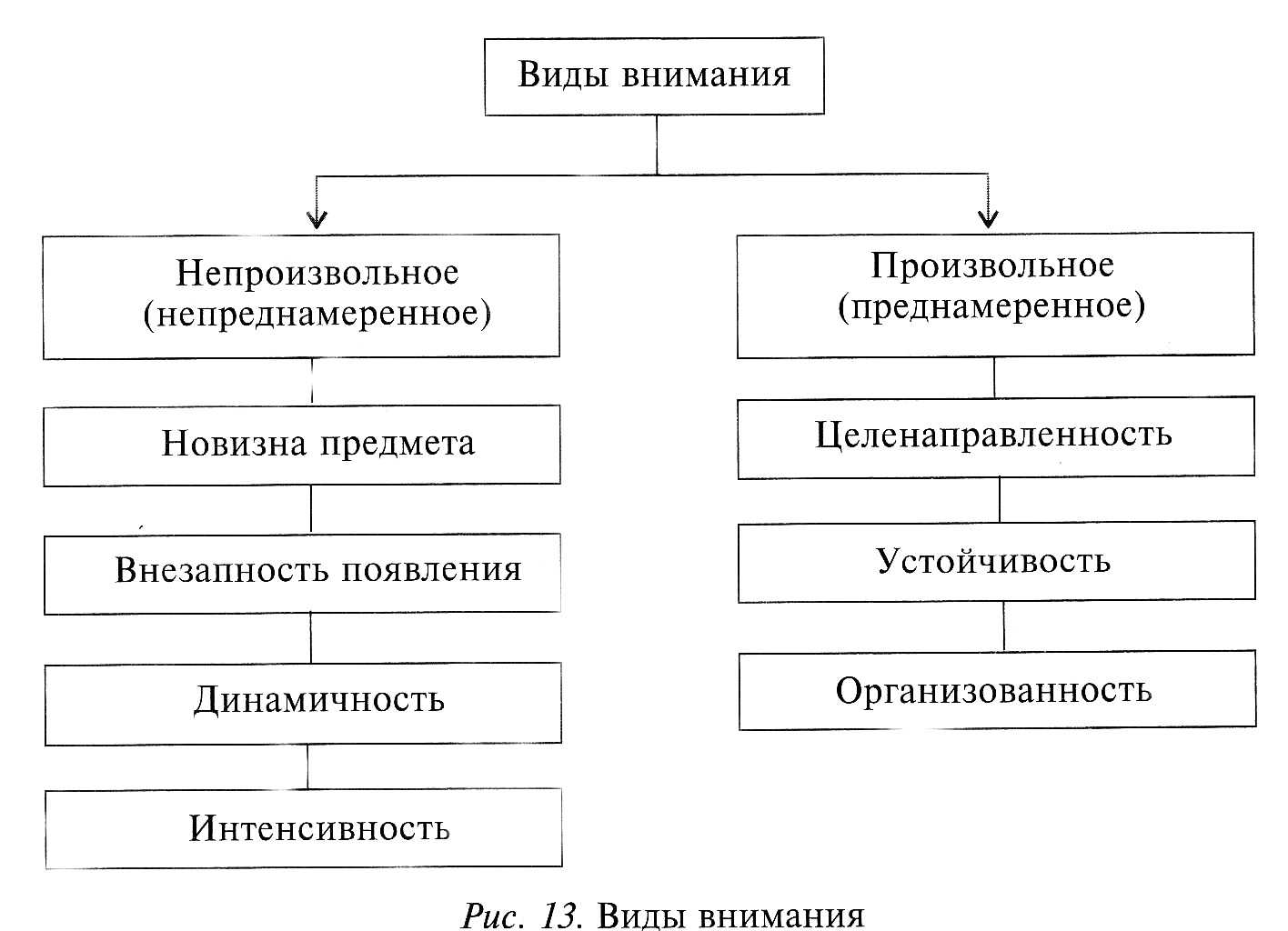 Свойства внимания можно и нужно развивать и ведущая роль в этом процессе принадлежит взрослому рядом с которым развивается ребенок