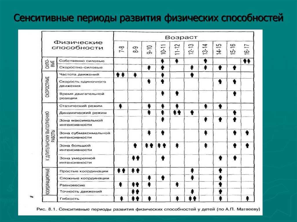 Что такое сензитивные периоды в развитии детей - страна мам