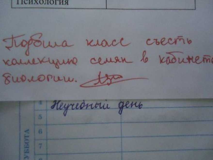 Бумажные школьные дневники постепенно уходят в прошлое: где-то от них совсем отказались, где-то пользуются номинально А мы еще помним времена, когда дневники заменяли и электронный календарь, и приложение с заметками, и чатик с учителем